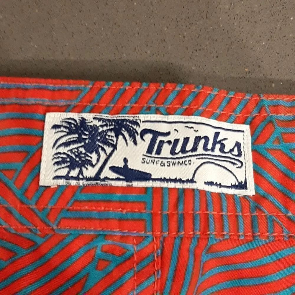 Trunks Surf and Swim Co. Aqua and Red Striped Pattern Trunks - Picture 6 of 10